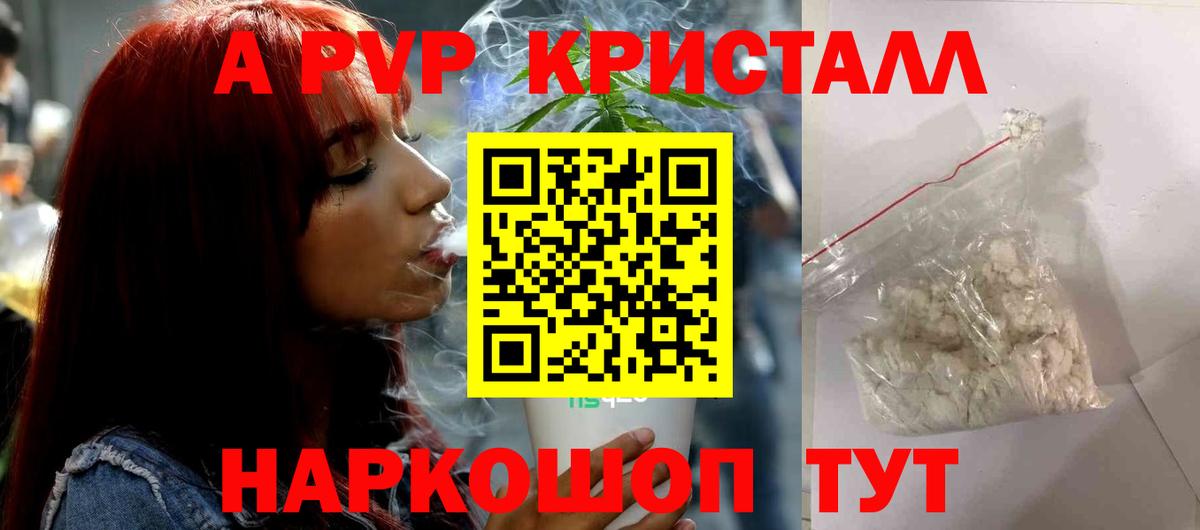Alfa_PVP крисы CK Калининград