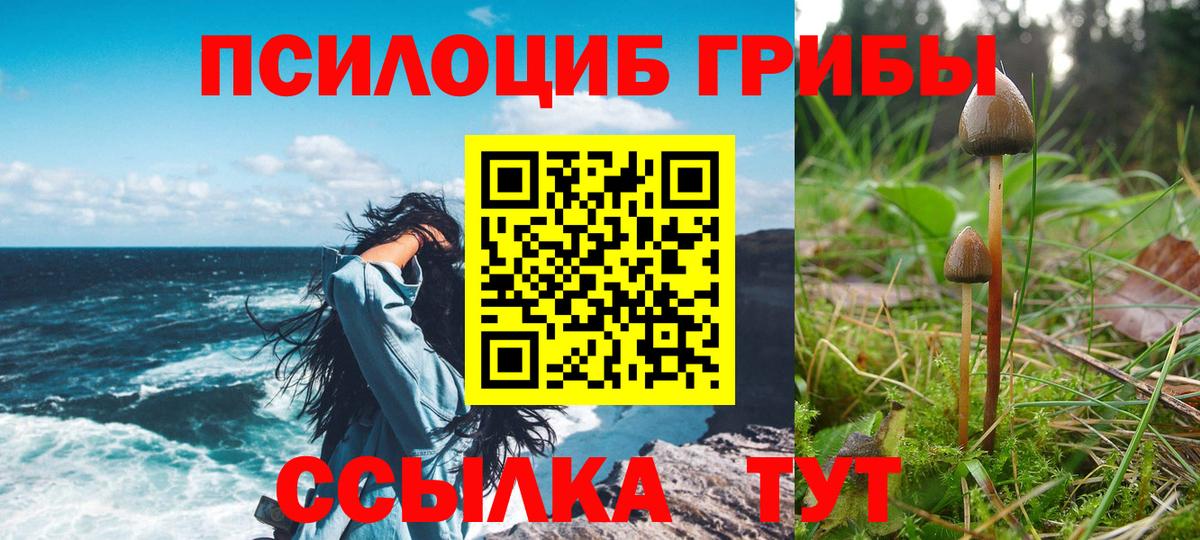 Калининград  Галлюциногенные грибы MAGIC MUSHROOMS  Вход с VPN 